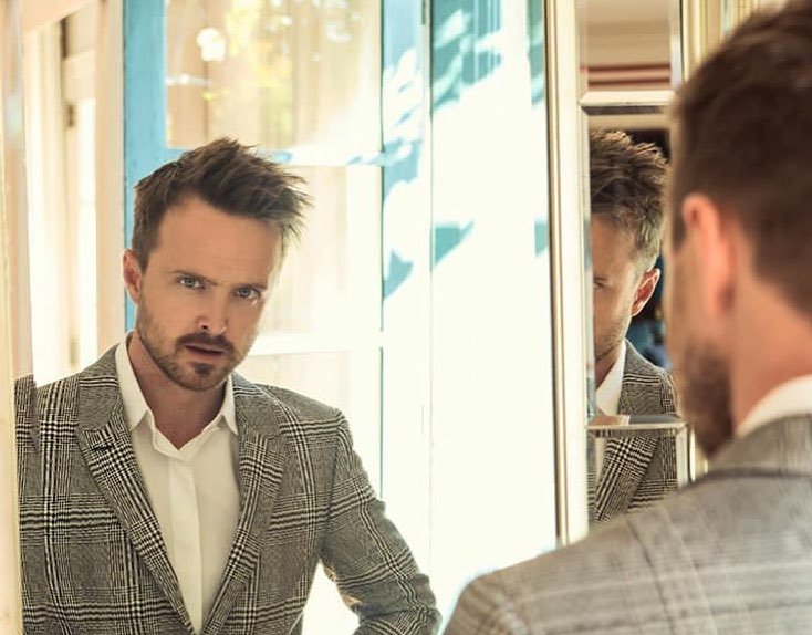 Aaron Paul's family: parents, siblings, wife and kids